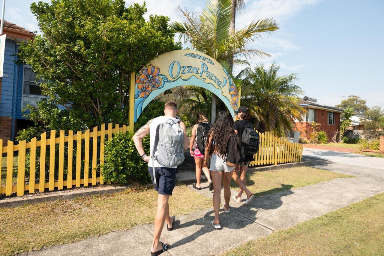 Ozzie Pozzie Backpackers Vandrerhjem Port Macquarie Eksteriør bilde