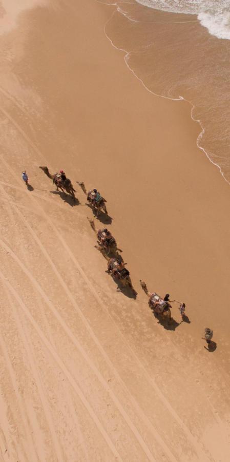 Ozzie Pozzie Backpackers Vandrerhjem Port Macquarie Eksteriør bilde
