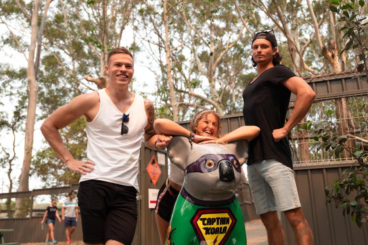 Ozzie Pozzie Backpackers Vandrerhjem Port Macquarie Eksteriør bilde